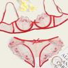 New Women's Sexy Bras and Panties Lace Flower Mesh Embroidered Sheer Lingerie Set