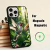 Красочная птица H-Жужжащая Чехол для телефона Для iPhone 17, 16, 15, 14, 13, 12, 11 Plus, Pro Магнитный Для Magsafe Беспроводная зарядка