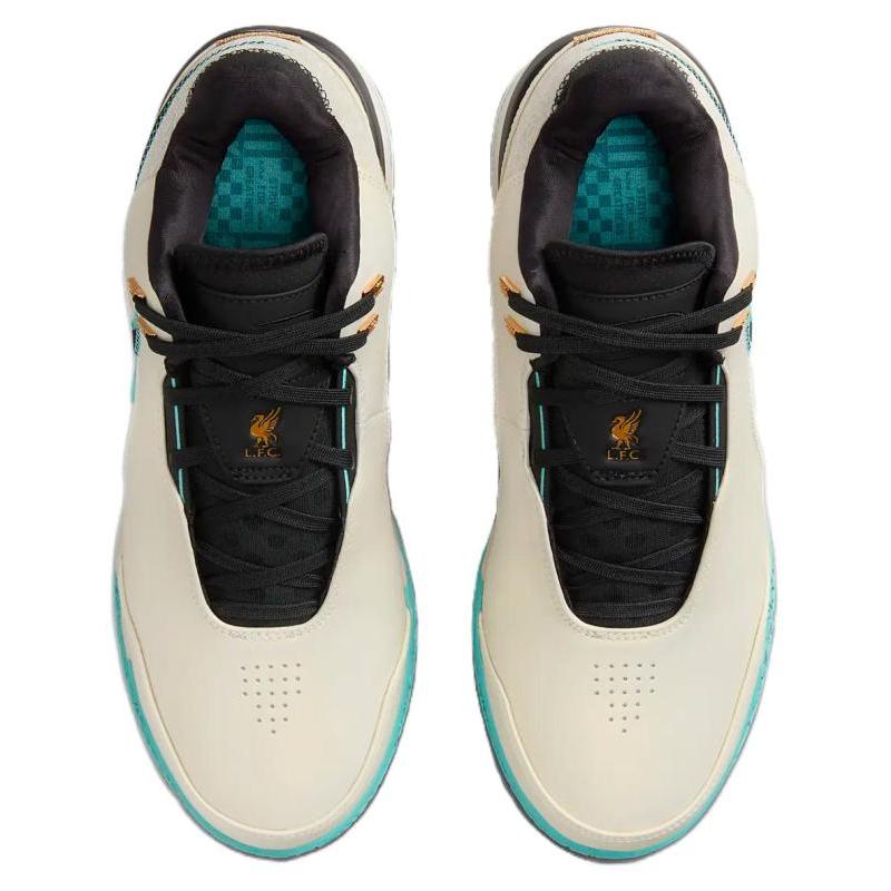 Nike Zoom LeBron Nxxt Gen Ampd Ep Кроссовки с литой подошвой casual FJ1567-101
