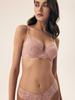 Blueberry Esotiq Push-Up Bra | Dusty