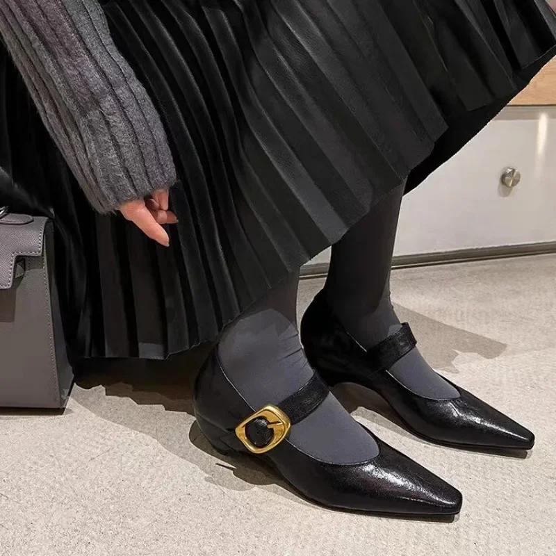 Модные туфли-лодочки в стиле ретро с острым носком для женщин, осень 2024 г., удобные туфли на низком каблуке для поездок на работу, повседневная модная обувь с неглубоким носком