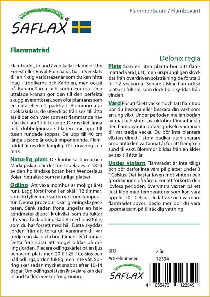 SAFLAX Яркий - 6 семян - Delonix regia