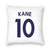 Harry Kane 10 Square Pillowcase Polyester Linen Velvet Pattern Zip Decorative Throw Pillow Case Bed Cushion Case 18"