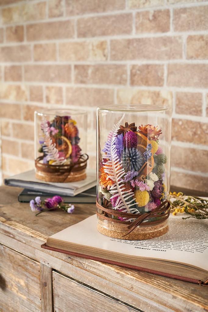 Tokyodo Сухоцветы Морская звезда 20 шт. Прибл.. L3.0~6.0см FD005064-zzz