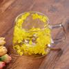 200ml Floral Glass Mug Real Flower Coffee Cup Double Wall Clear Mug with Insulated Handle Aesthetic Floral Tumbler for Hot Cold Drinks