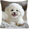 1 милая плюшевая белая наволочка с щенком