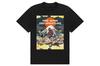 Новая Япония NEW JAPAN PAINTING Солнце и 7184104995 Футболка для рестлинга, г.. Фуджи, XXL,