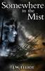 Книга Somewhere In the Mist