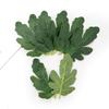 Artificial Plants Silk Watermelon Leaves Diy Candy Box Wedding Festival Decorations Wreath Accessories Home Room Scrapbook Props