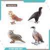 Wild Birds Science Education Model: Barn Owl, Eagle, Vulture, Owl Figurines for Children