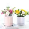 Flower Box 12Cm Round Cardboard Gift Boxes Wedding Party Rose Flower Decoration