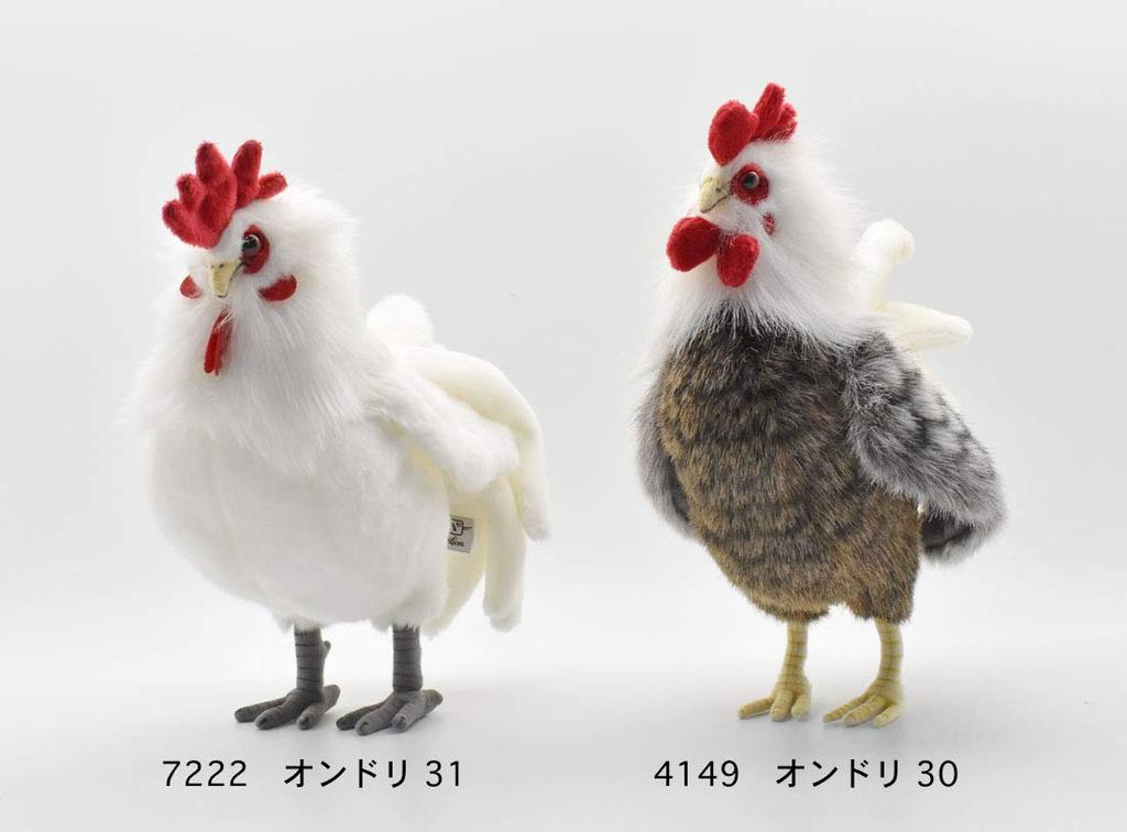 BH7222 HANSA Петух 31