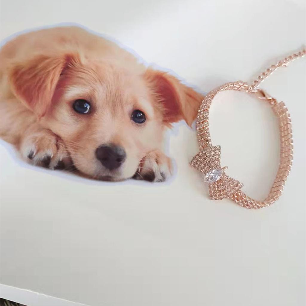 High-grade Dog Necklace Collar Fashion Jeweled Bow Puppy Collar with Bling Rhinestone Dogs Pet Supplies Accessories