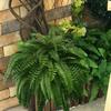 1 Set Artificial Fern UV Resistant Realistic Home Office Wedding Faux Greenery Indoor Outdoor Garden Yard