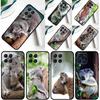 Австралийский Коала Чехол Для Samsung Galaxy M55 M15 M33 M13 M23 M53 M31 M51 M14 M34 M54 M20 M30s M52 M32