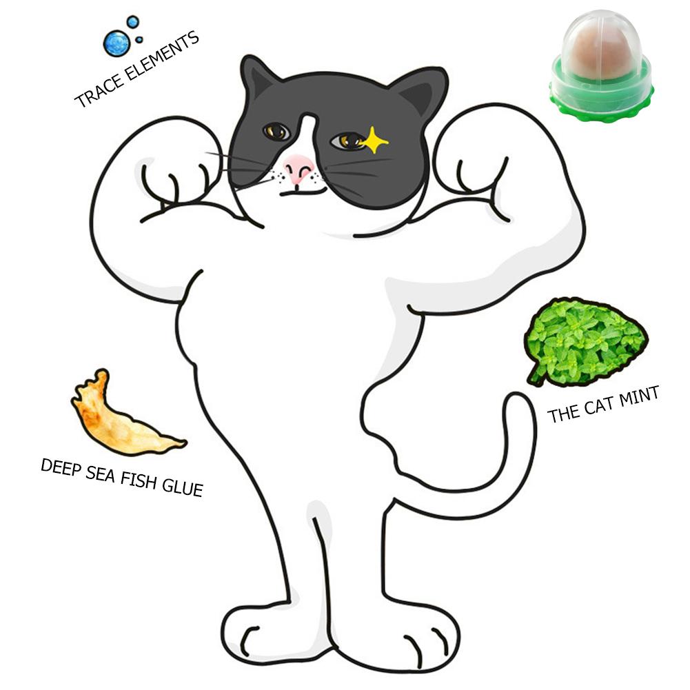 5/10 шт. Мятный Шарик для Кошек Здоровое Питание Лизучий Кошачья Мята Сахарный Шарик для Кошек Лакомства Конфетный Шарик для Помощи Пищеварению
