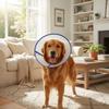 Breathable Dog Elizabethan Collar Adjustable Recovery Collar Protective Collar  Wound Recovery