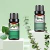 PHATOIL 10ML Eucalyptus Peppermint Natural Plant Essential Oil For Aromatherapy Diffusers Air Freshening Body Relieve Skin Care Water Soluble Oil