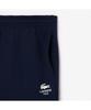 Мужские повседневные спортивные брюки-джоггеры LACOSTE Xh2724-54N 166