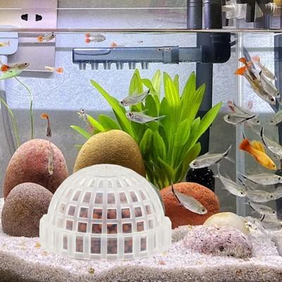 Шар для колонизации Moss Hemisphere, аквариум с креветками, держатель для шаров Moss, пресноводные живые растения, шар для формирования с фильтрующим камнем