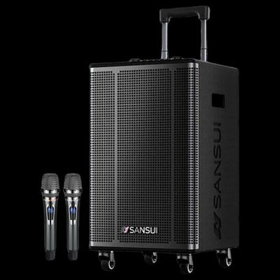 Портативная PA-система SANSUI E12 с беспроводным микрофоном, штекер CN (адаптер в комплекте)