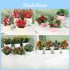 Simulated Chrysanthemum Hydrangea Calla Artificial Flowers Potted Plants Green