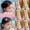 5pcs/lot Cut Baby Hair Clips for Girls Baby Flower Fruit Animal Modelling Hair Clips Kids Headwear Bowknot Snap Hair Clamp Pins