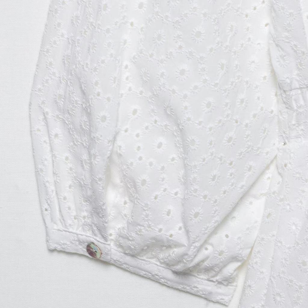 Summer 2025 V-Neck Lantern Sleeve Embroidered Dress