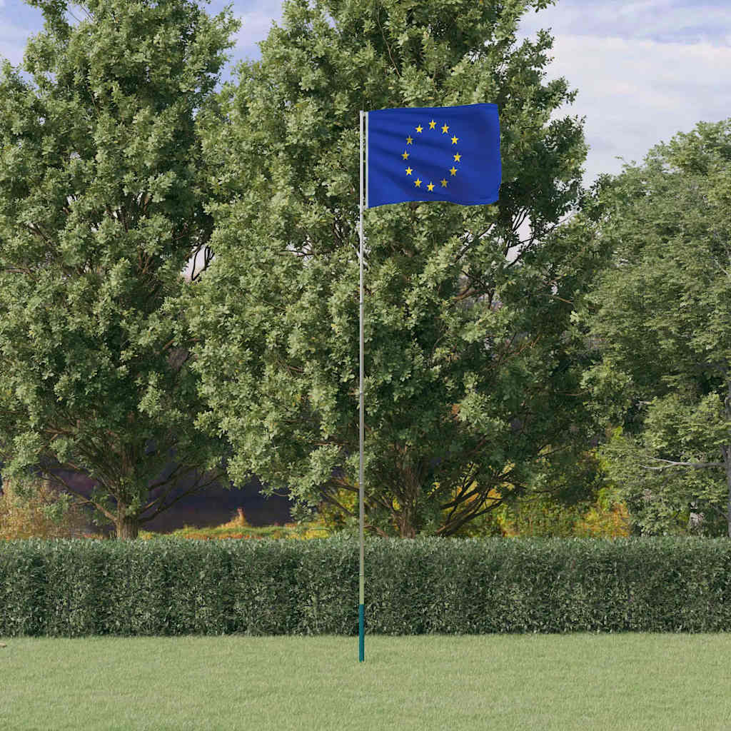 Vidaxl Flaga Unii Europejskiej Z Masztem, 5,55 M, Aluminium