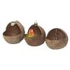 Natural Coconut Shell Parrot Nest & Swing Toy - Warm Tiger Skin Design