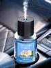 Ultrasonic Car Aroma | With , 3 Modes, Auto On/Off, USB Charging, Nano