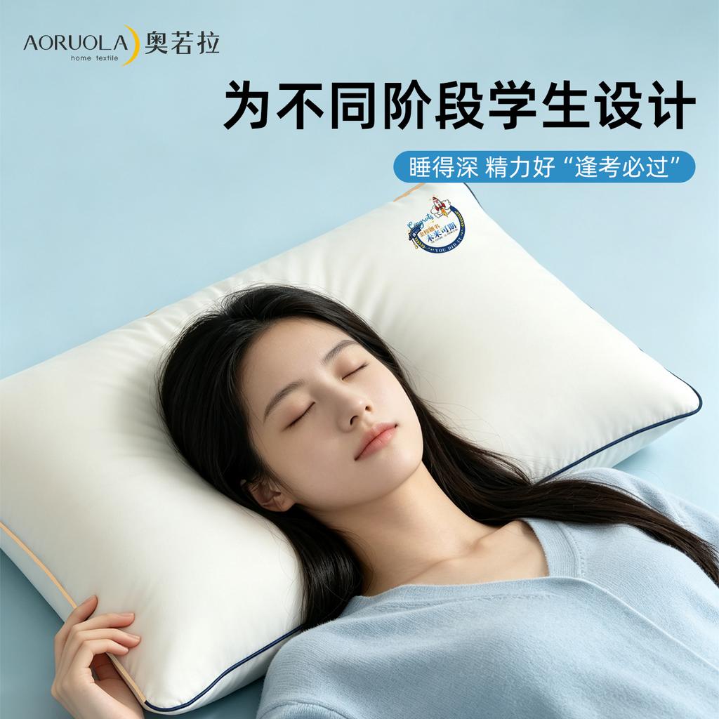 Class A All Cotton Dream Chasing Rocket Pillow Pillow Core for Student Dormitory