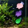Betta Hammock Shell, Betta Fish Bed with Suction Cup, Plastic Conch Shell Fish Hammock, Resting Spot for Betta, Shrimp, Cichlid, Small Fish Tank Decor