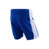 Nike Dri-FIIT Shorts Men's 703209-463