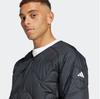 adidas Зимняя утепленная куртка schwarz