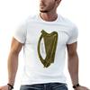 The Golden Irish Celtic Harp T-Shirt anime boys animal print plus size tops plain t shirts