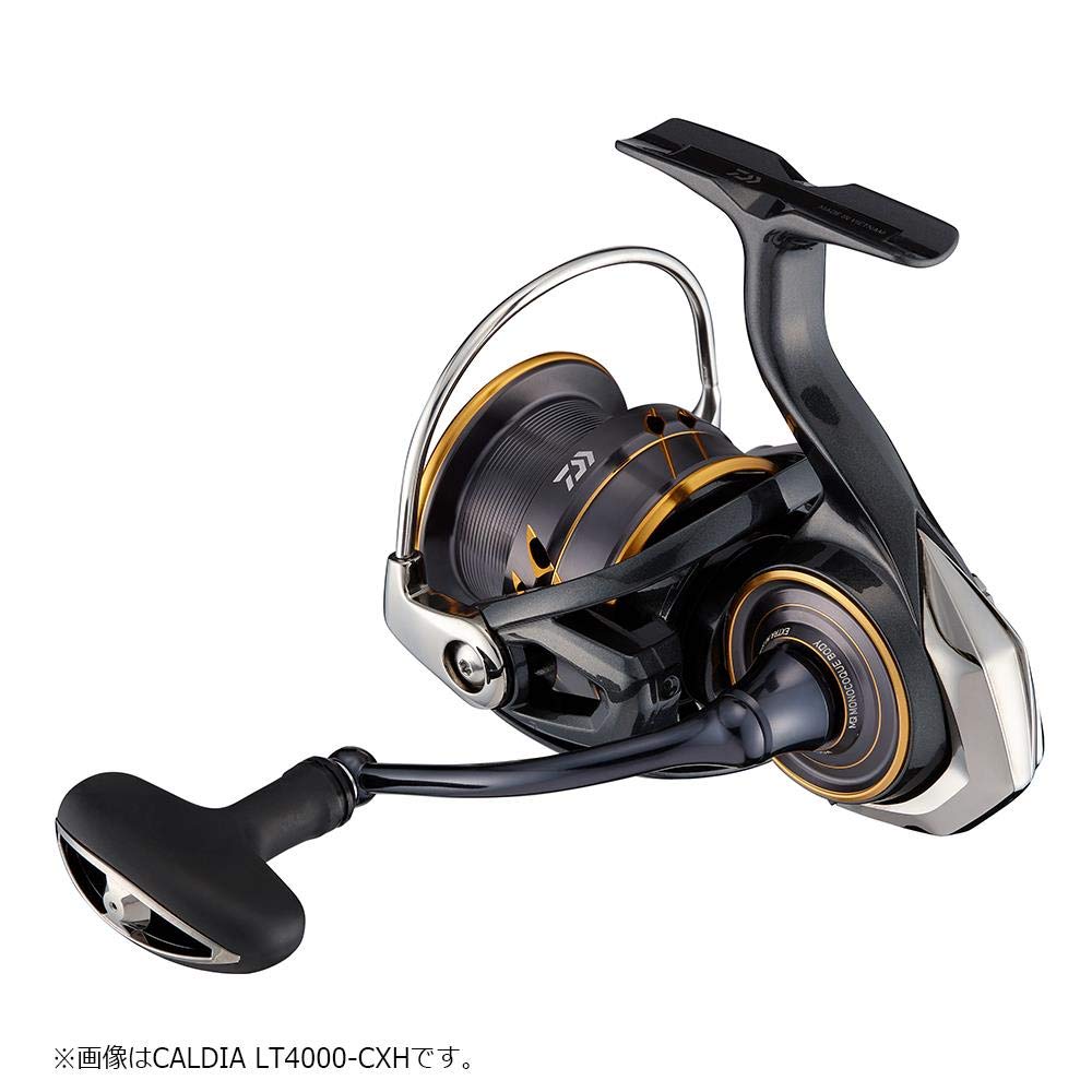 Daiwa Спиннинг 21 Caldia LT4000S-C
