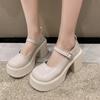 Fashion and Casual Mary Jane 2024 New Little Fragrance Cute Round Toe Thick Sole Anti Slip High Heels Versatile Women's Shoes