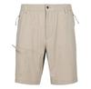 Trespass Carlby Shorts