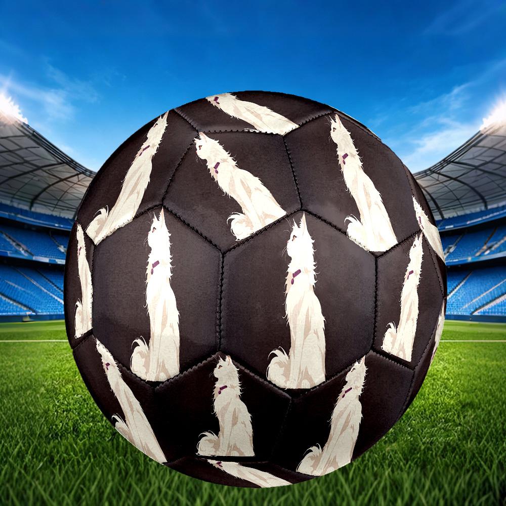1pc White Cat Size 5 Soccer Ball Professional Match Training Football Indoor &Outdoor Sports Ball Lightweight Durable c6561