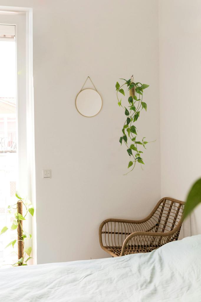 WillingYou Искусственные зеленые подвесные растения с настенным подвесным искусственным искусственным в горшках Общая длина 70 см Ваза, Растения, Растения,