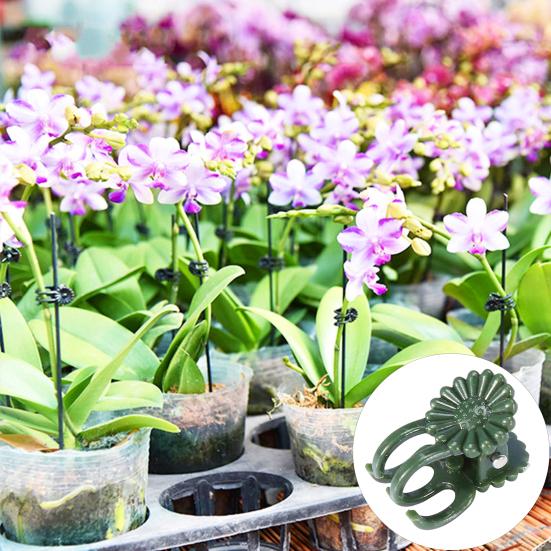 100 шт. зажим для стебля орхидеи универсальные стабильные экологически чистые зажимы для поддержки растений для более здоровых продуктивных растений