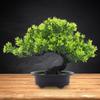 Artificial Bonsai Tree ,Small Fake Plants, Decor, Plants for Living Room