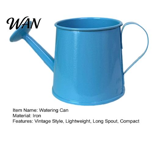 Metal Watering Can Mini Vintage Pot with Long Spout Small for Indoor Plants Home Decoration Wide Inlet