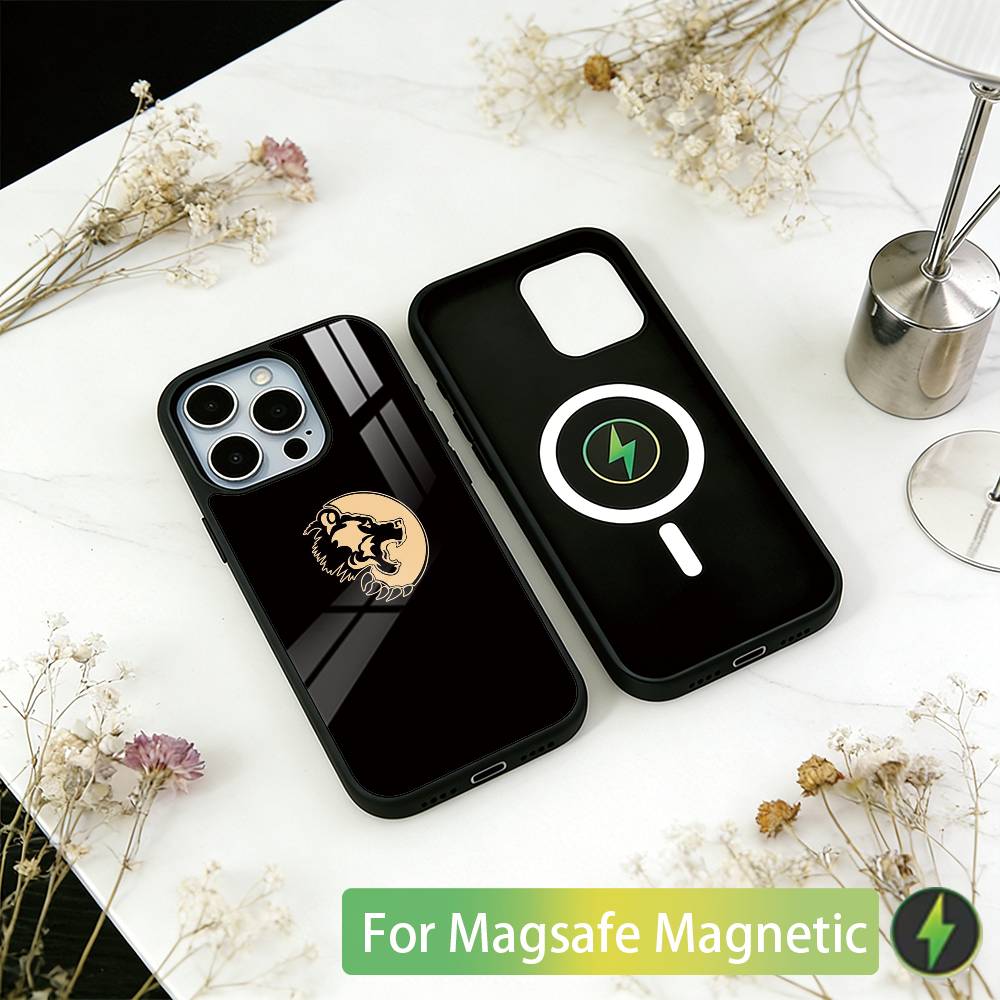 Чехол для телефона 'Турецкий Волк' для iPhone 17, 16, 15, 14, 13, 12, 11 Plus, Pro, Магнитный, Для Magsafe, Беспроводной Зарядки