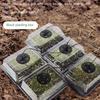 6/12Grids Seed Starter Tray with Ventilation Hole Plant Starter Kit Plant Germination Base Garden