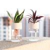 2 шт. Мини гидропонный цветочный горшок многоразовый прозрачный гидропонный кашпо настольные горшки для растений без почвы для украшения офиса и дома