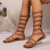 Spring and Summer New Sandals Women's Open-toed High Tube Flat-bottomed Belt Buckle Boots Roman Fish Mouth Cool Boots