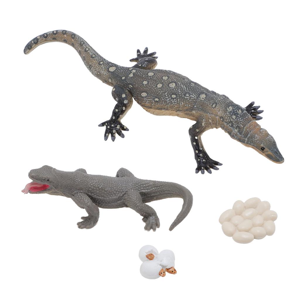4 Pcs Lizard Life Cycle Toy PVC Realistic Educational Reptile Animal Growth Cycle Toy