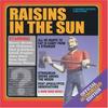 CD RAISINS IN THE SUN - Raisins In The Sun 1166131772 Rounder Records 2001 US Rock Used